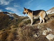 MONTE ARETE (2227 m.), sudato, ma comunque goduto, da Cambrembo di Valleve il 17 novembre 2012  - FOTOGALLERY